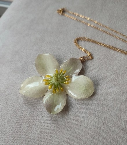 Collana fiore vero elleboro - vero, di